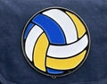 Pelota de voleibol