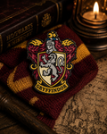 Casa Gryffindor